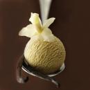French Vanilla(フレンチ・バニラ)  ニコチン0mgリキッド 15ml