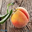 電子タバコ リキッド - Peach(ピーチ) ニコチン0mgリキッド 10ml