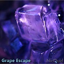 電子タバコ リキッド - Grape Escape(グレープ・エスケープ) ニコチン0mgリキッド 10ml